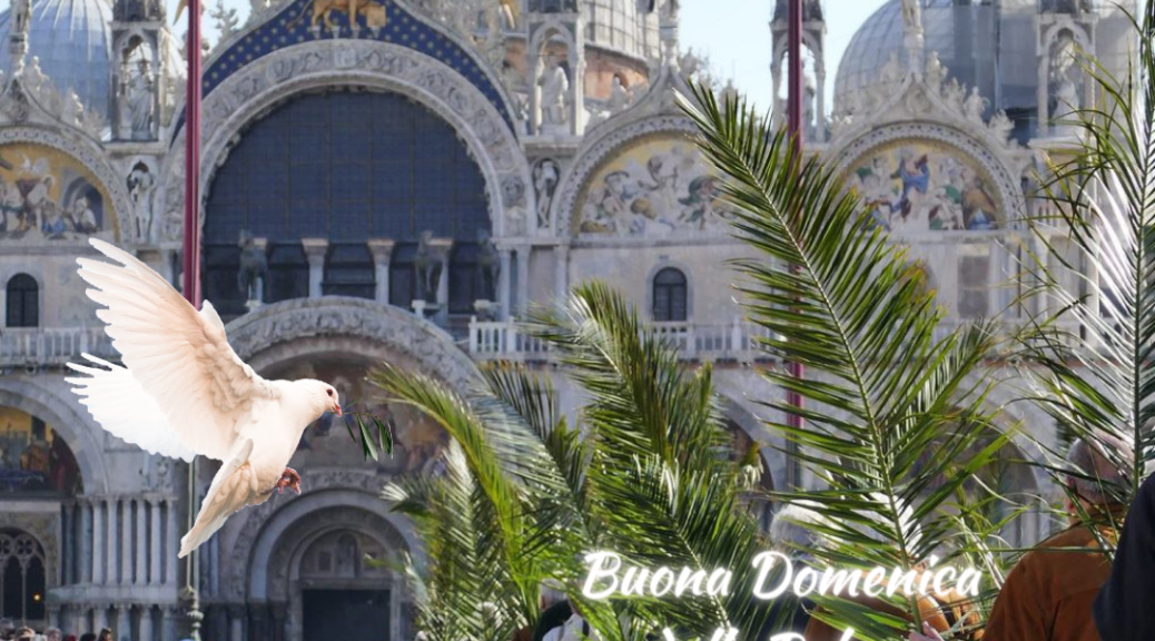 Domenica delle Palme Colombe a San Marco