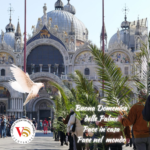 Domenica delle Palme Colombe a San Marco